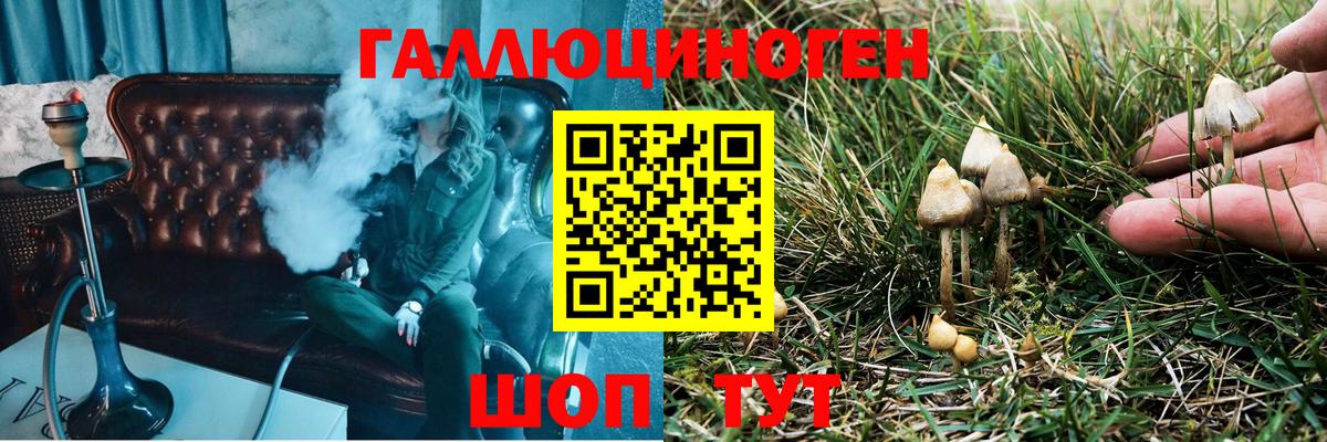 Галлюциногенные грибы Magic Shrooms  Псилоцибиновые грибы прущие грибы  Вязники  Вход с VPN 